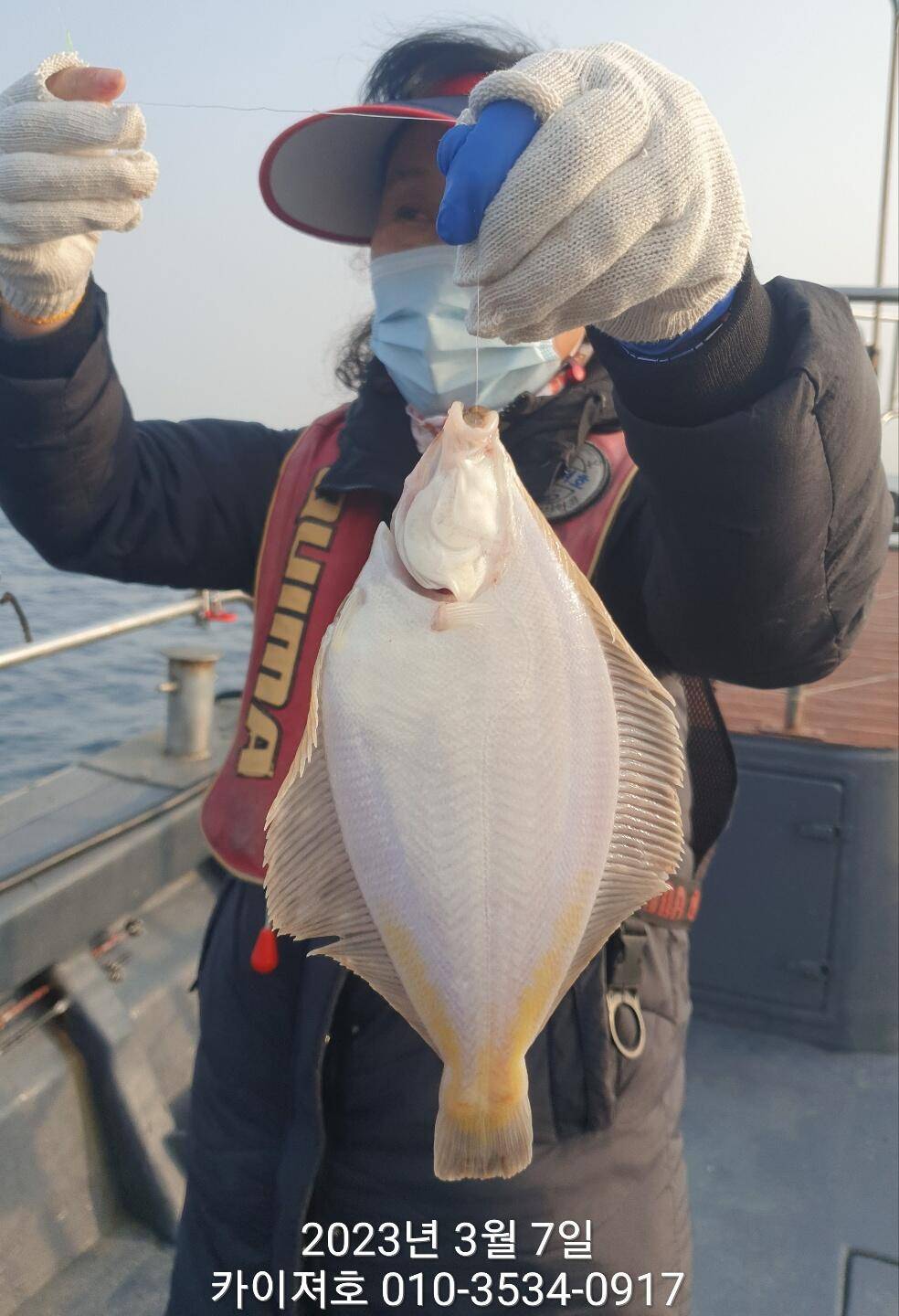 7일현재상황 쭈꾸미 왕도다리 참가자미 마릿수를 채워라 (조황조행기 - 바다선상조황)