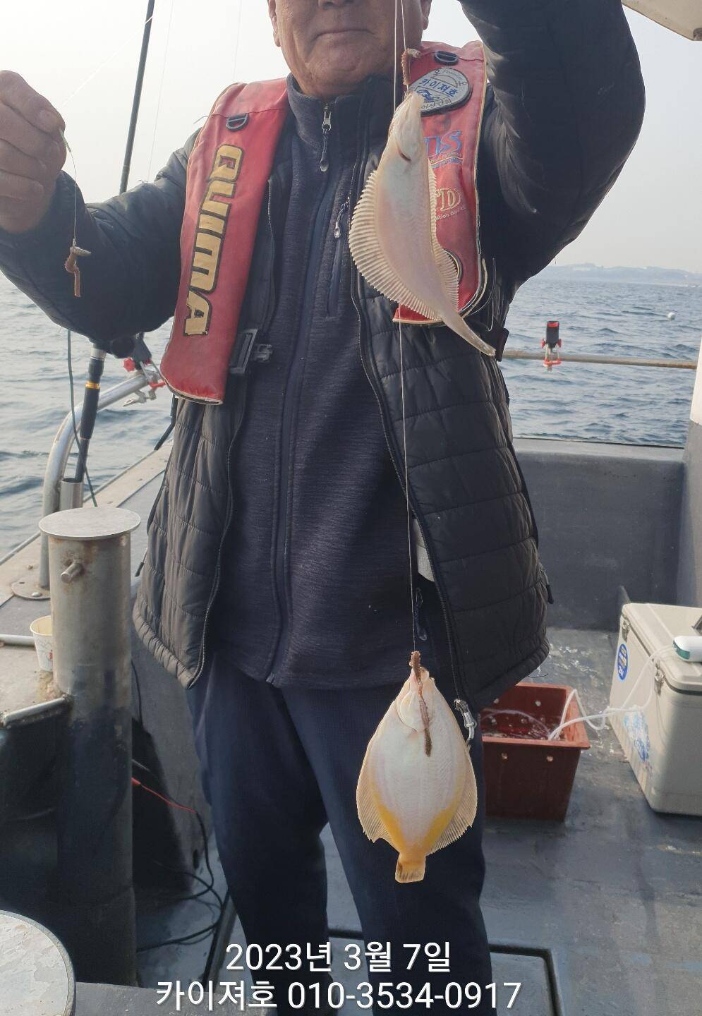 7일현재상황 쭈꾸미 왕도다리 참가자미 마릿수를 채워라 (조황조행기 - 바다선상조황)