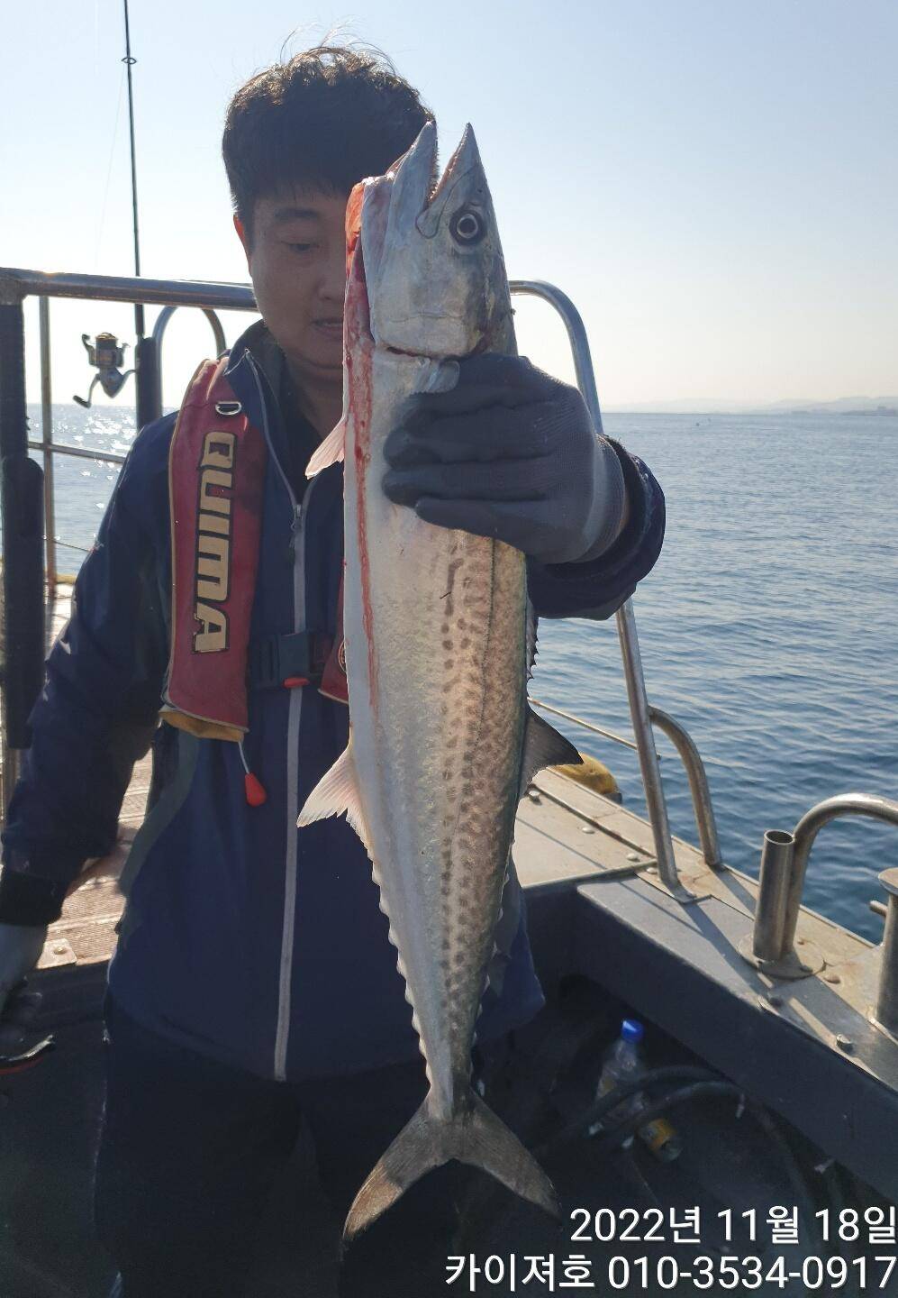 17일 막잡아 방어삼치 아미깔시런 복어 ㅋ (조황조행기 - 바다선상조황)