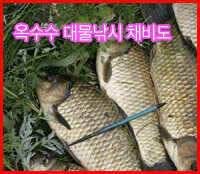 옥수수 대물 내림채비도 안내드립니다 (낚시용품정보 - 쇼핑몰홍보)