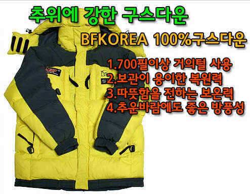 동절기낚시 마지막 100구스다운 지금확인하세요 (낚시용품정보 - 쇼핑몰홍보)