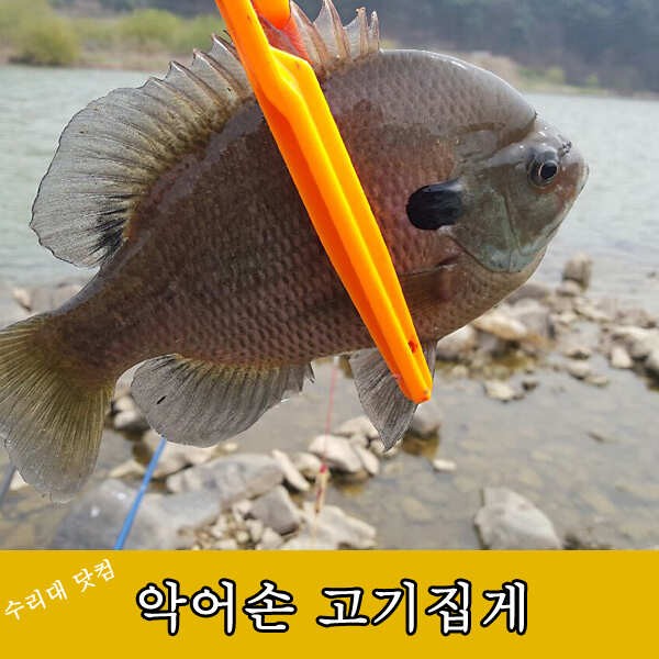 아 블루길 이거 만지기도 싫어요 (낚시용품정보 - 쇼핑몰홍보)