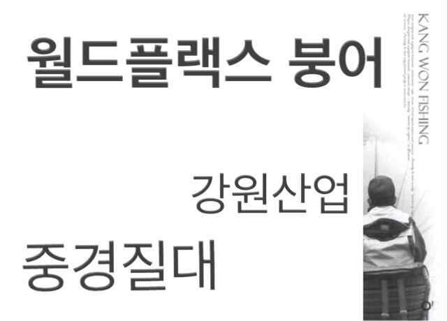 ▼50파격SALE 월드프렉스 붕어 50대 52대 출시 (낚시용품정보 - 쇼핑몰홍보)