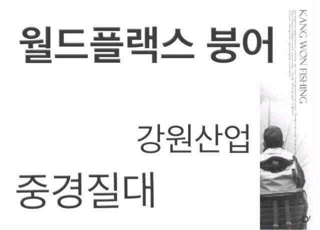 오직 선화에서만붕어 50세일 (낚시용품정보 - 쇼핑몰홍보)