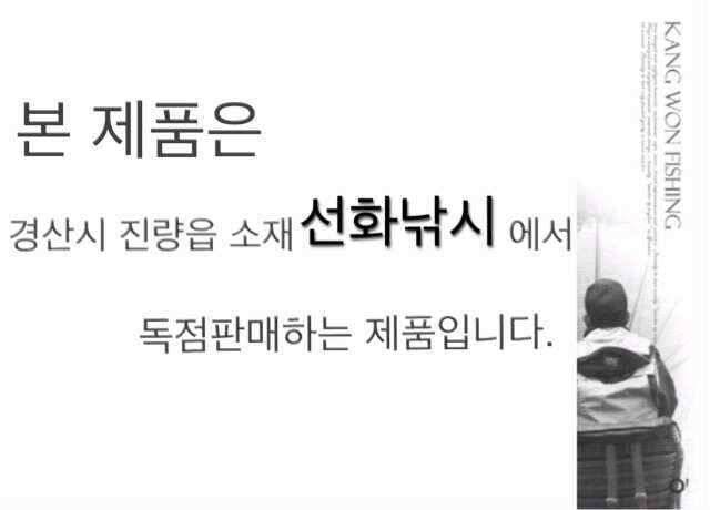 오직 선화에서만붕어 50세일 (낚시용품정보 - 쇼핑몰홍보)