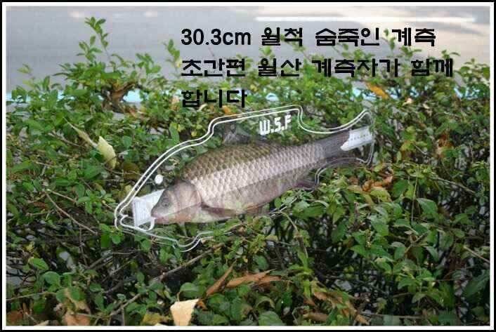 월산휴대용 계측자 (낚시용품정보 - 쇼핑몰홍보)