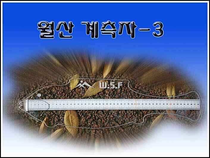 월산휴대용 계측자 (낚시용품정보 - 쇼핑몰홍보)