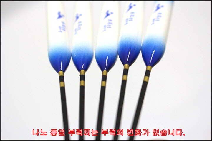동일 부력찌 부력측정 없이 바로 사용 (낚시용품정보 - 쇼핑몰홍보)