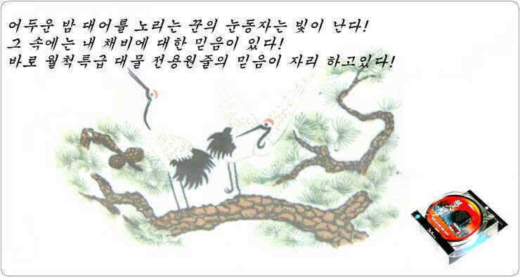 대물낚시 원줄 평정 하다 (낚시용품정보 - 쇼핑몰홍보)