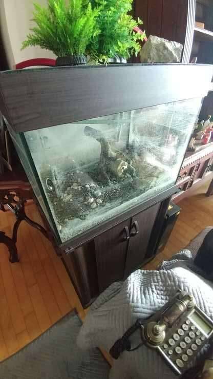 수족관 풀셋 팝니다 (중고장터 - 비낚시용품)