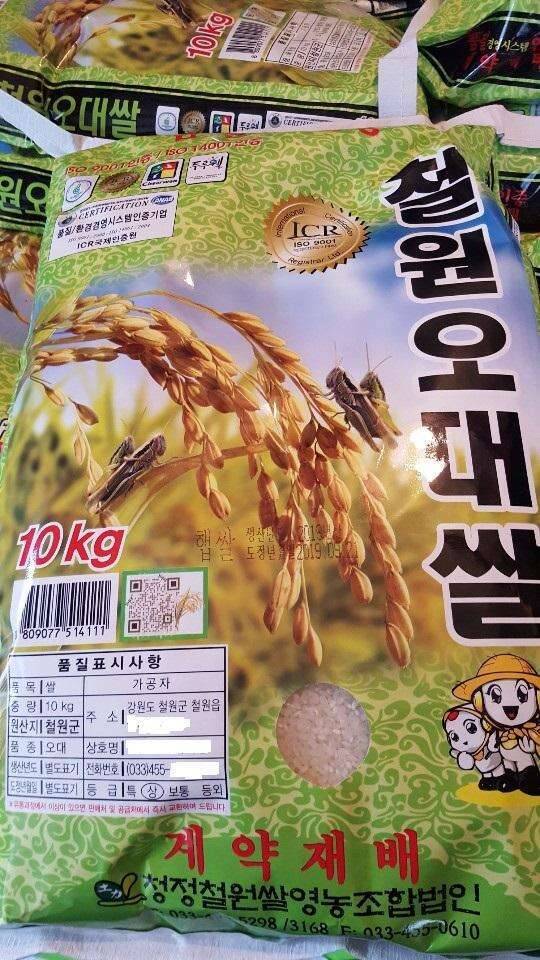 철원오대쌀 햅쌀 판매합니다 (중고장터 - 비낚시용품)