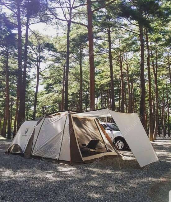 캠핑용품 싸게 정리 (중고장터 - 비낚시용품)