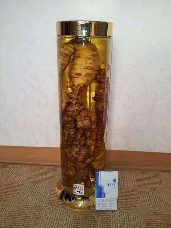 대물백하수오초대물더덕 (중고장터 - 비낚시용품)