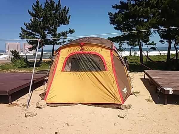 캠핑용대형텐트팔거나교환합니다 (중고장터 - 비낚시용품)
