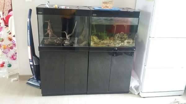 60cm 셋트어항과 자수정드림 이나 설화수골드 교환원함 (중고장터 - 비낚시용품)