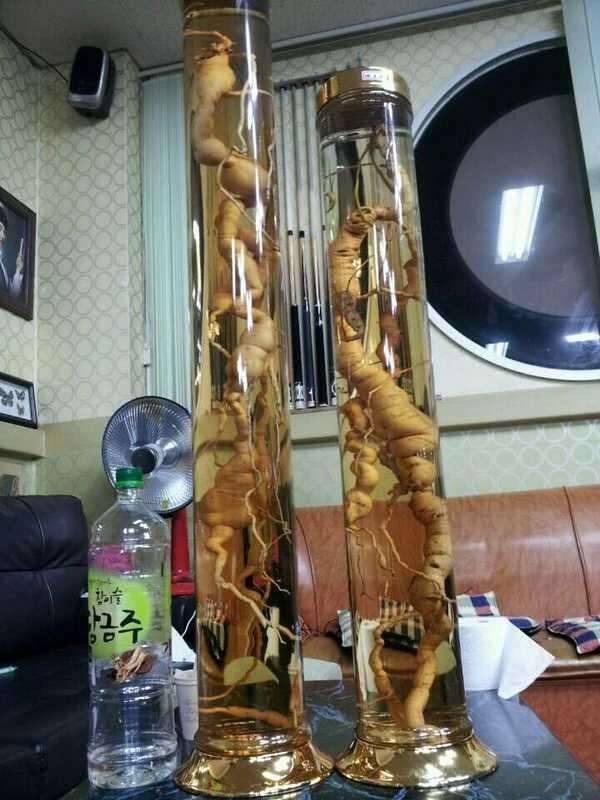 2014년산 대물 백하수오 2점 낚시대 (중고장터 - 비낚시용품)