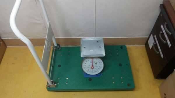 라꾸라꾸스토퍼핸드카트스피커 팝니다 (중고장터 - 비낚시용품)