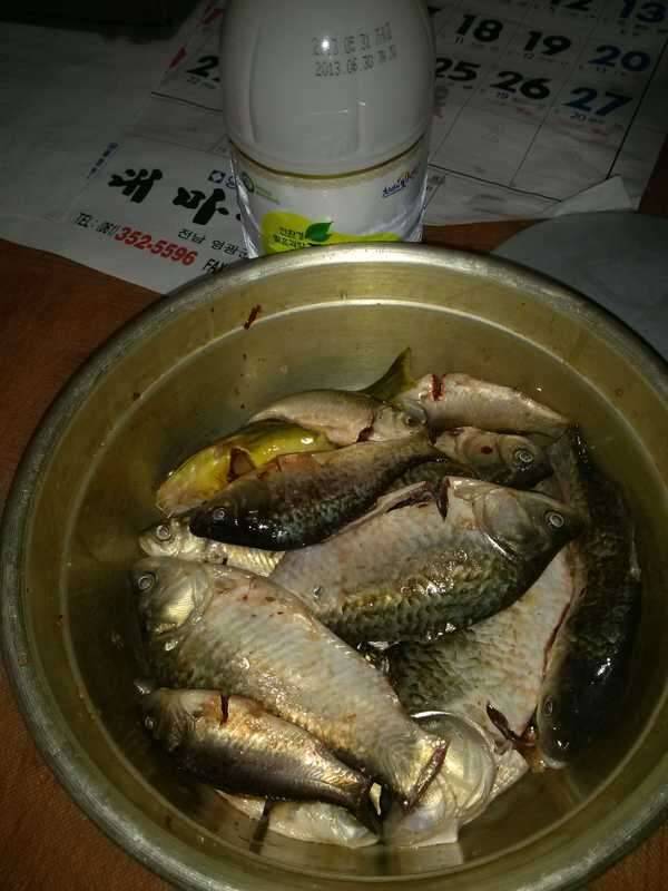 확실한 비 낚시용품 다시한번 네놓습니다 (중고장터 - 비낚시용품)