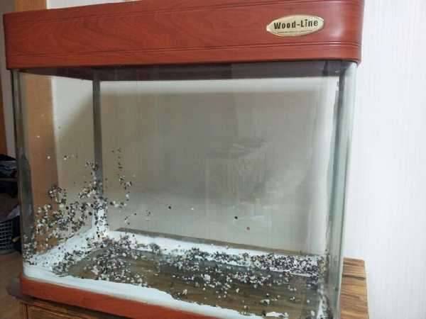 어항 및 기타 구성품 팝니다 김포 직 (중고장터 - 비낚시용품)