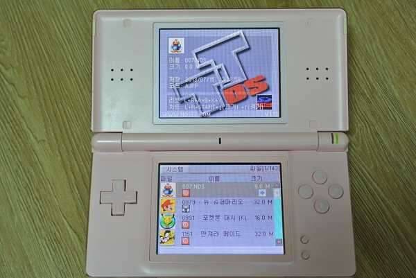 조행기용디카와 닌텐도DS 판매합니다 (중고장터 - 비낚시용품)