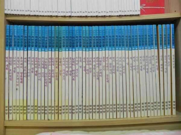 아동교육교재및도서 등등 (중고장터 - 비낚시용품)