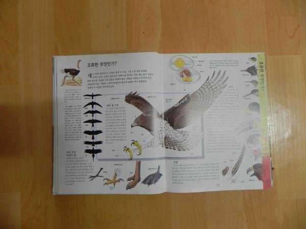 아동교육교재및도서 등등 (중고장터 - 비낚시용품)