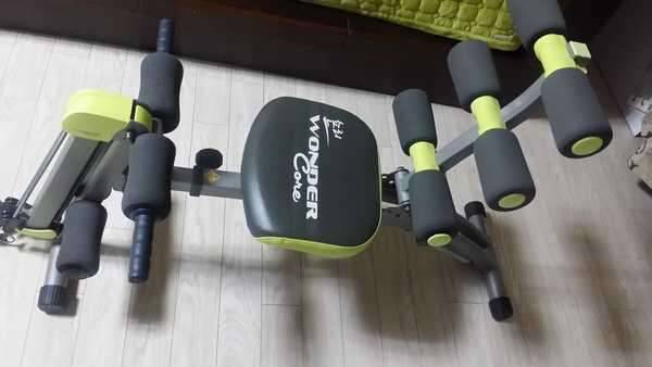 헬스 운동 기구숀리원더콩2 직거래 합니다 (중고장터 - 비낚시용품)