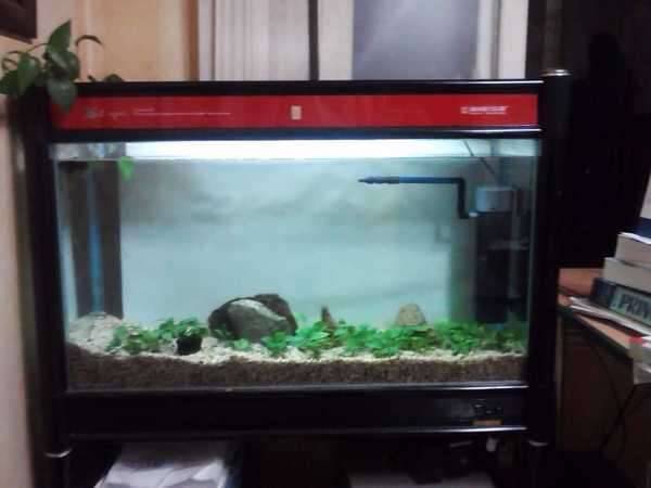 열대어수족관 3자짜리 90cm 팝니다 (중고장터 - 비낚시용품)