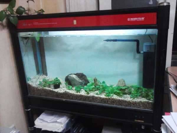 열대어수족관 3자짜리 90cm 팝니다 (중고장터 - 비낚시용품)