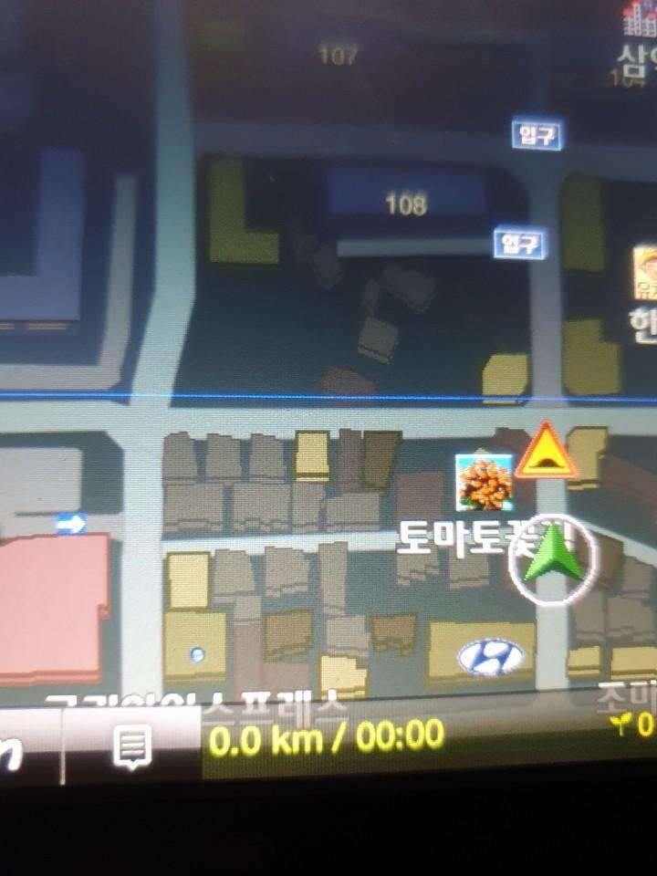 구형네비 후방 사용가능 (중고장터 - 비낚시용품)