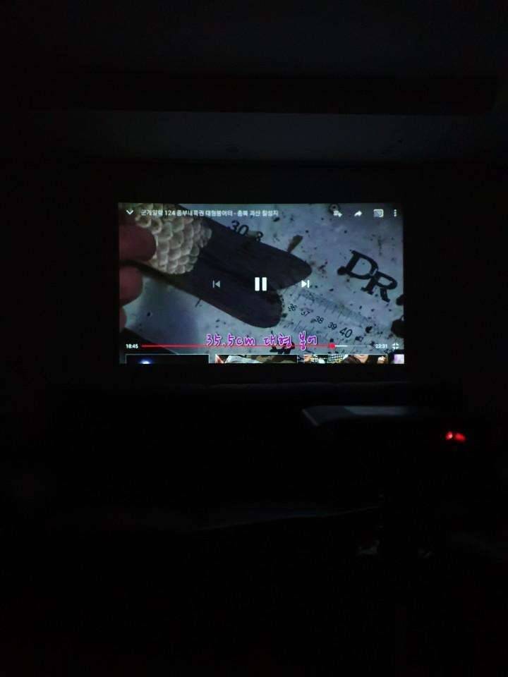 캐논미니프로젝터캐논잉크젯프린터로 낚시 용품 교환 (중고장터 - 비낚시용품)