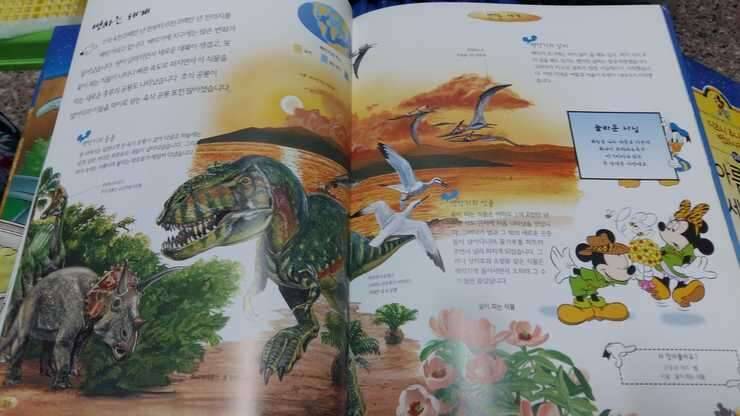 동화책 및 교육용품 (중고장터 - 비낚시용품)
