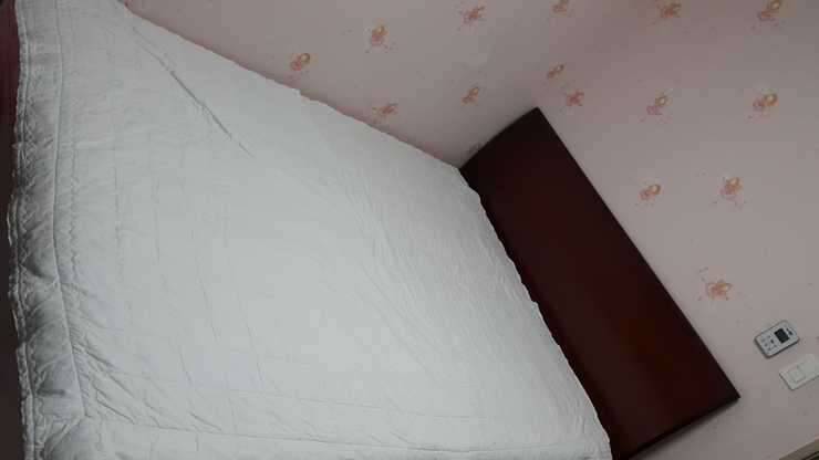 에이스침대 퀸사이즈 침대 무료분양합니다 (중고장터 - 비낚시용품)
