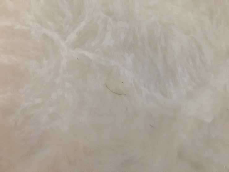 인조대리석식탁 쇼파 (중고장터 - 비낚시용품)