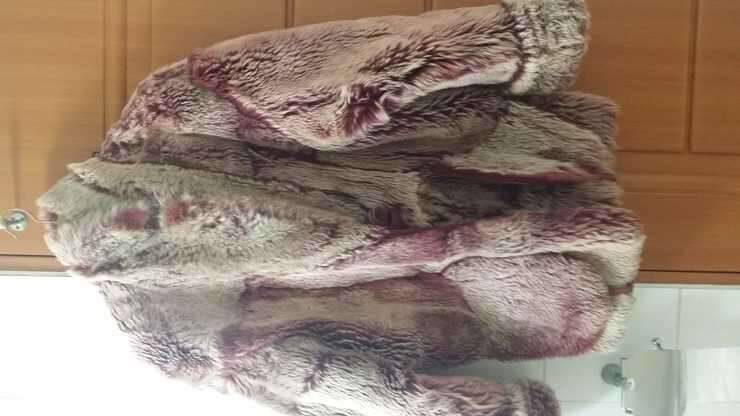 폭스양피 무스탕 판매또는 낚시대교환 (중고장터 - 비낚시용품)