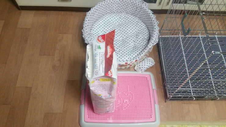 강아지용품 가져가실분 (중고장터 - 비낚시용품)