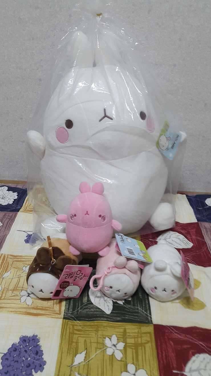 각종 정품인형 및 생필품 (중고장터 - 비낚시용품)