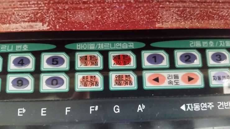 디지털피아노고급형 그랜드코리아 제품 바이올린초등학생용 팝니다 (중고장터 - 비낚시용품)