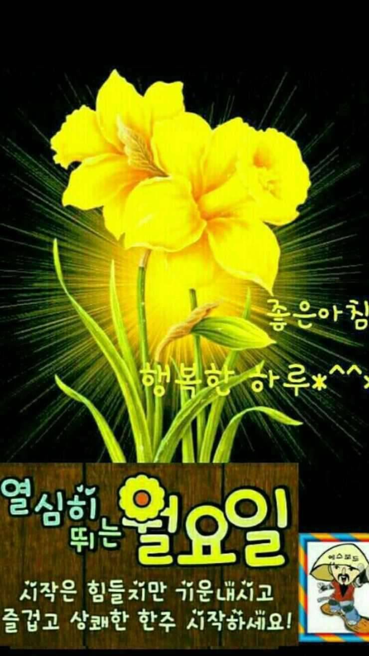 전동릴 (중고장터 - 비낚시용품)