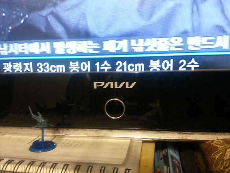 삼성 pavv 파브 46인치 tv팝니다 (중고장터 - 비낚시용품)