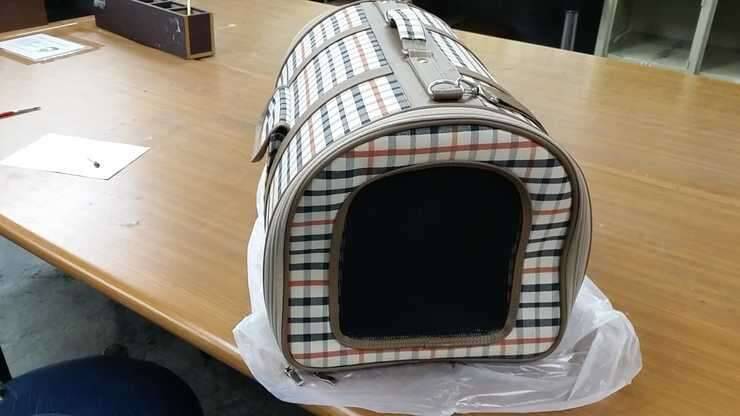 강아지또는 냥이 이동가방 (중고장터 - 비낚시용품)