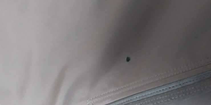 겨울옷 3벌전에 올린 1벌 포함 (중고장터 - 비낚시용품)