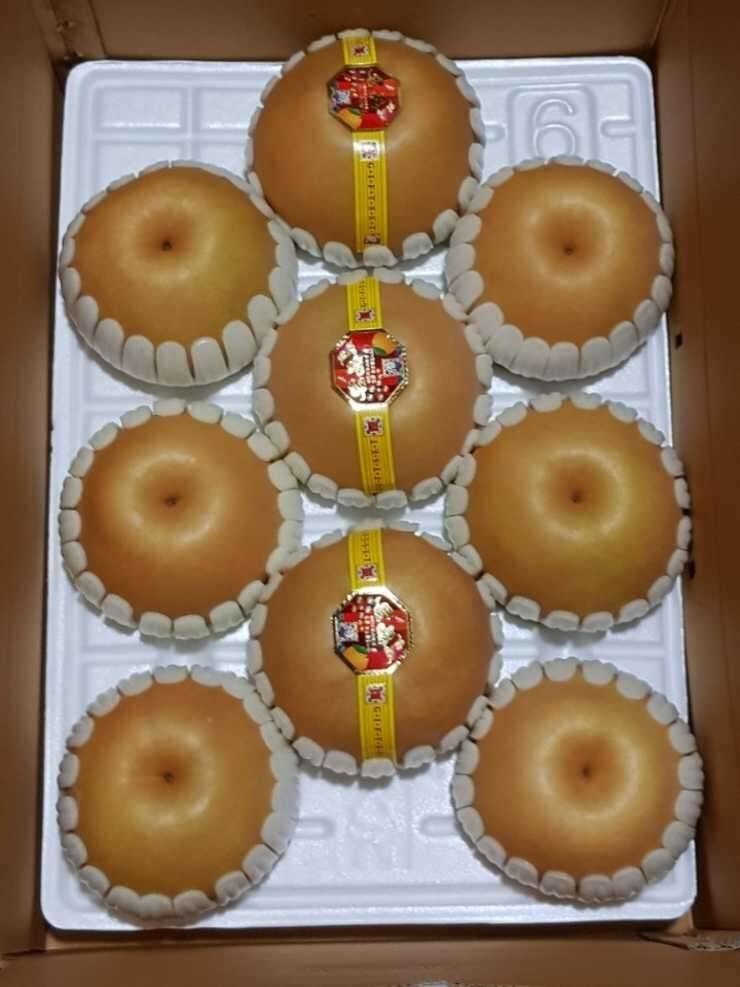 패딩 (중고장터 - 비낚시용품)