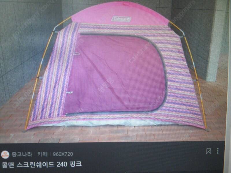콜맨 스크린240 핑크텐트가격내림 (중고장터 - 비낚시용품)