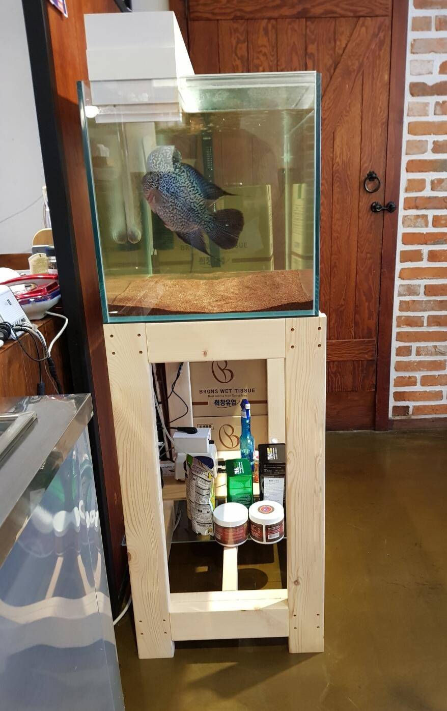 3자 올디아망 상면여과 수조 분양합니다 (중고장터 - 비낚시용품)