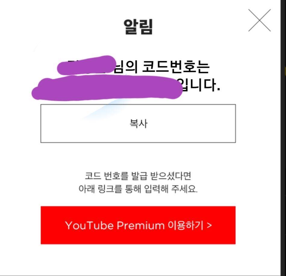유튜브 프리미엄 3개월 이용권 (중고장터 - 비낚시용품)