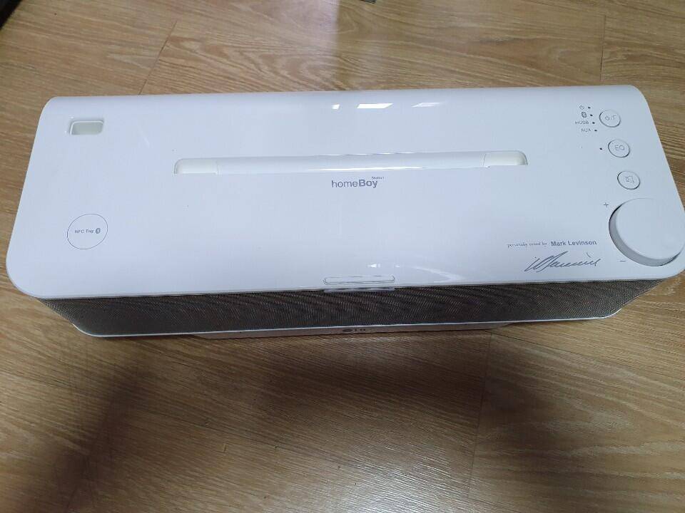 LG 홈보이 마크레빈슨 블루투스 스피커 (중고장터 - 비낚시용품)