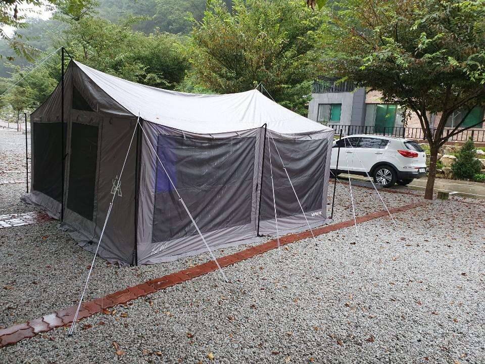 타프스크린 팝니다 본부텐트 사용가능 (중고장터 - 비낚시용품)