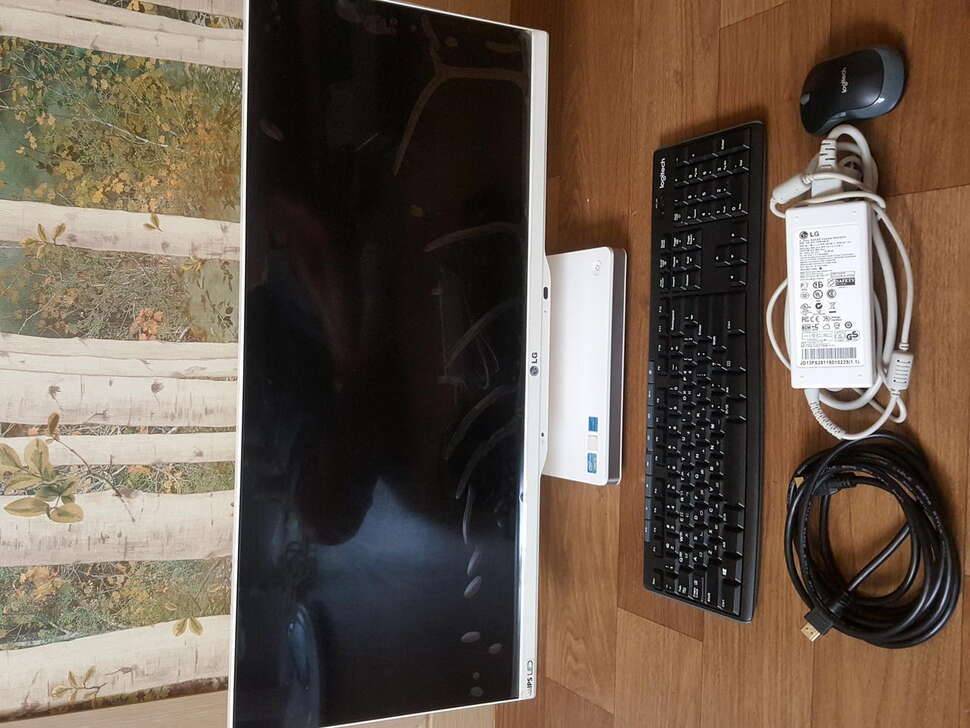 LG 일체형PC 29인치TV기능 (중고장터 - 비낚시용품)