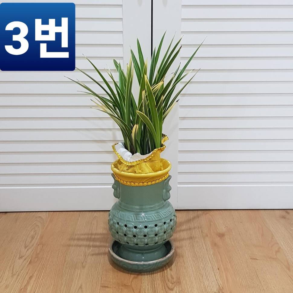 난 화분 3개 판매 대구 직거래만 (중고장터 - 비낚시용품)